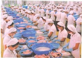 Bonne nouvelle pour les éleveurs de pangas vietnamiens